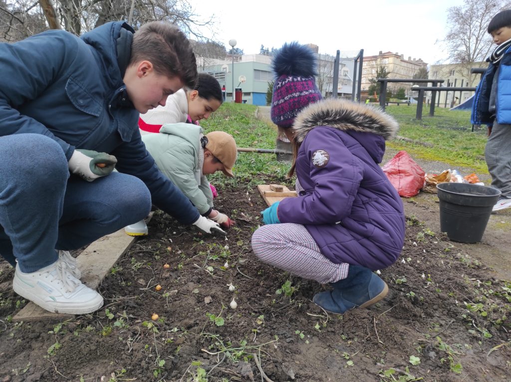 Students planting onions in the school garden