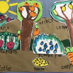 Construction paper cut and coloured to look like different plants, showing the location where each is grown