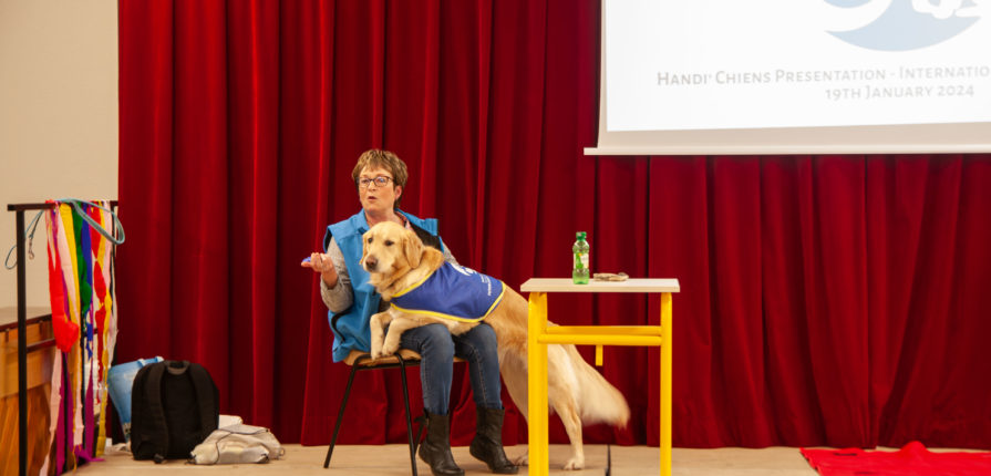A service dog sitting on the lap of a volunteer from Handi'Chiens