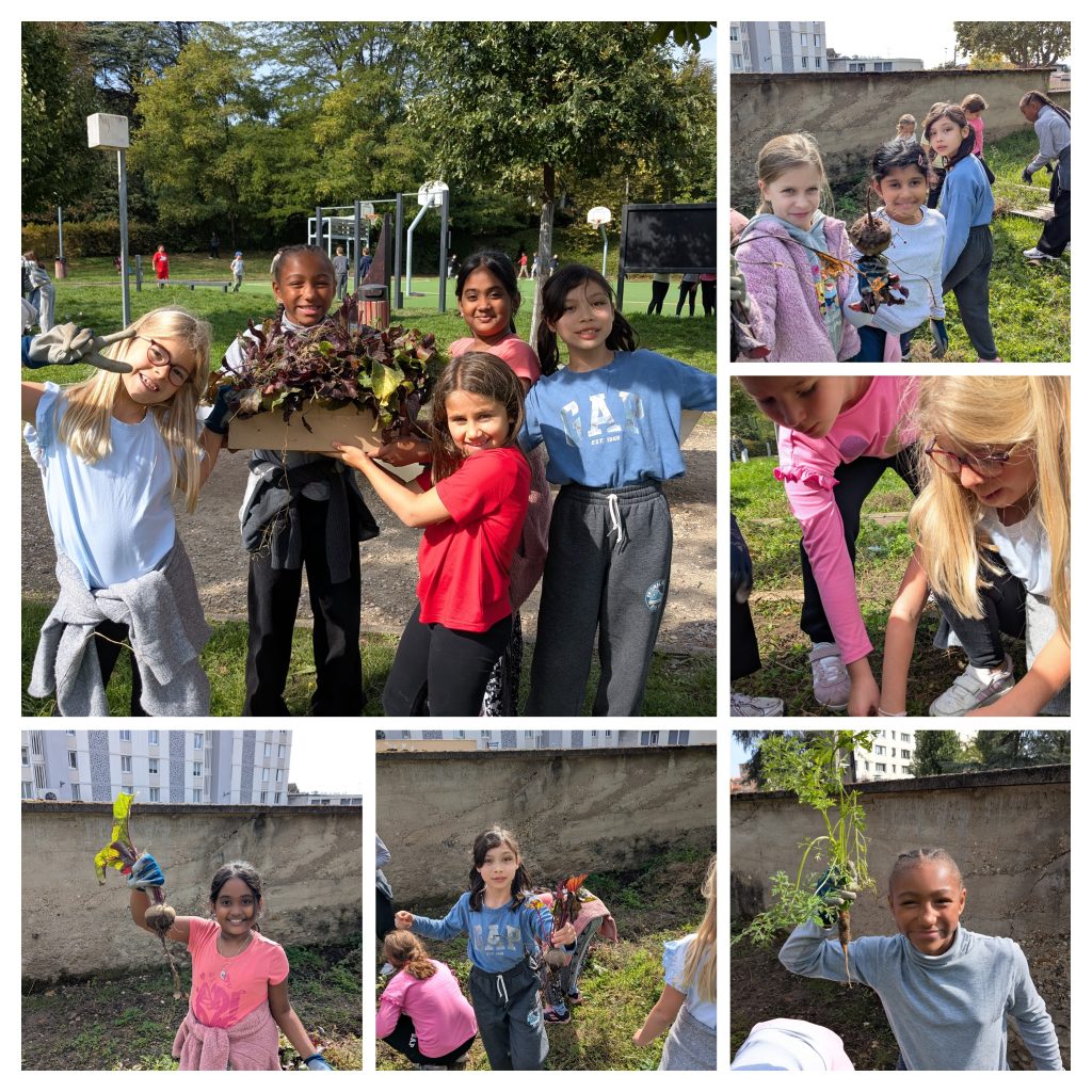 Collage of students holding up various harvested vegetables