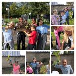 Collage of students holding up various harvested vegetables