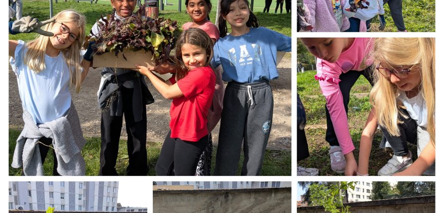 Collage of students holding up various harvested vegetables